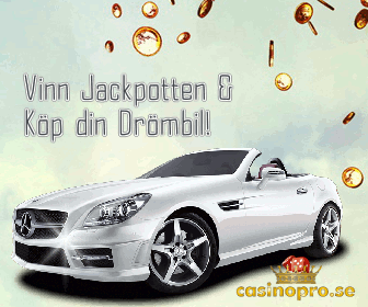 casinopro guide