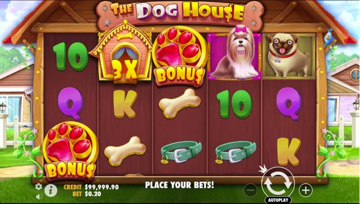 dog house bonus wilds